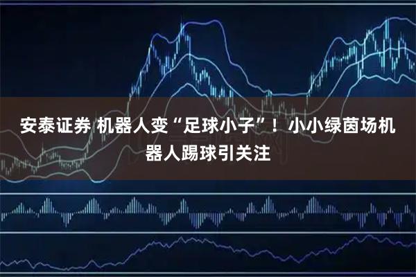 安泰证券 机器人变“足球小子”！小小绿茵场机器人踢球引关注