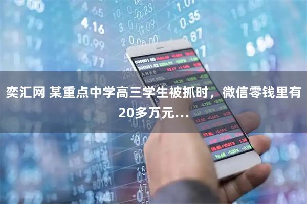 奕汇网 某重点中学高三学生被抓时，微信零钱里有20多万元…