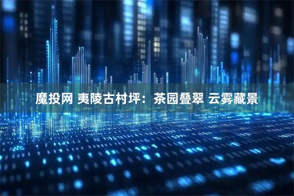 魔投网 夷陵古村坪：茶园叠翠 云雾藏景